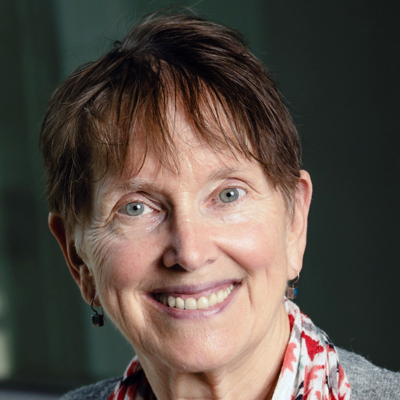 Prof. Carol Handwerker, Purdue University, USA Portrait